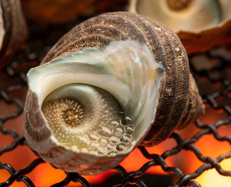 1,000円以上のお食事をされるお客様にサザエの壷焼きを1個サービスいたします。